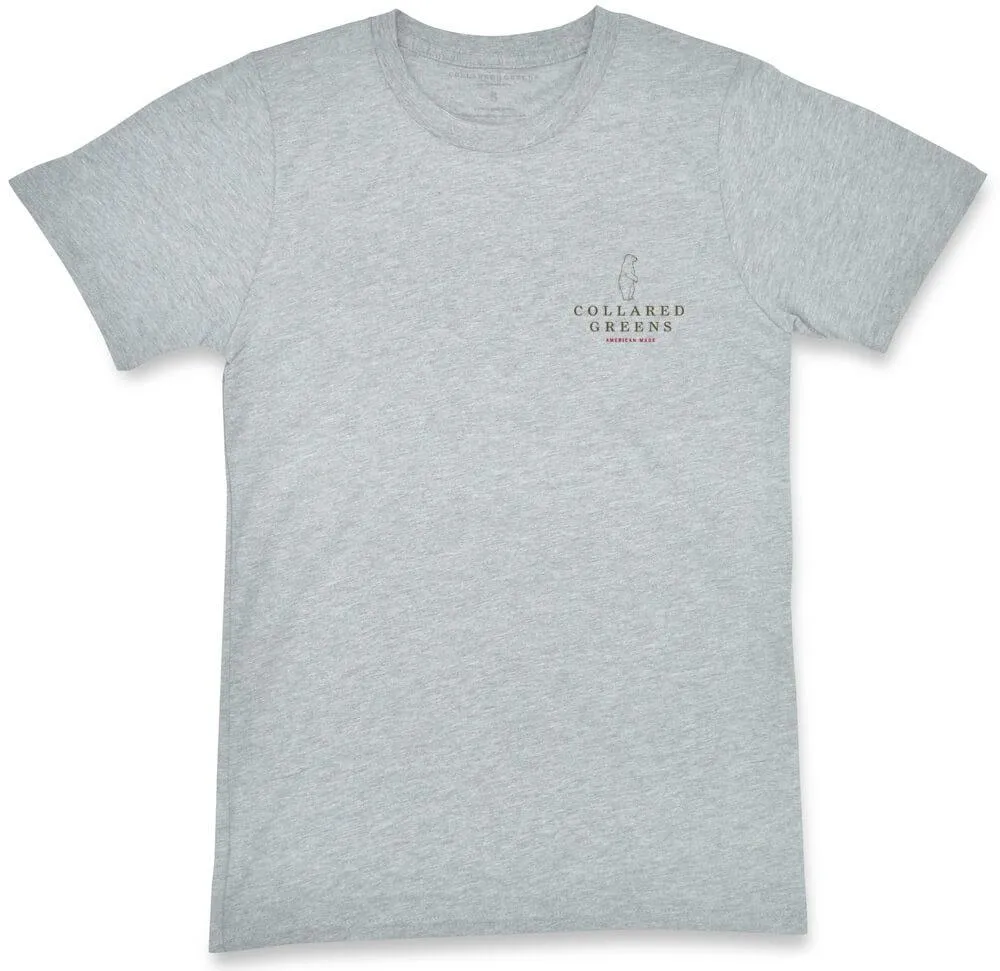 Brook Trout: Short Sleeve T-Shirt - Gray